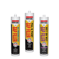 Gap Filler Sealants